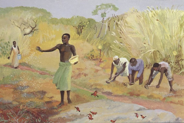 Man sowing seed along a footpath with workers in the background and small birds enjoying the seed nearby